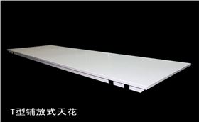 T型鋪放式天花.jpg T型鋪放式天花.jpg