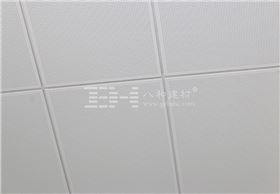 T型鋪放式天花案例 T型鋪放式天花案例