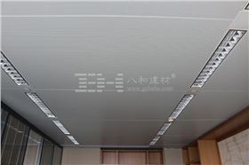 沖孔鋁蜂窩板應(yīng)用案例 沖孔鋁蜂窩板應(yīng)用案例