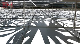 外墻藝術(shù)鏤空鋁單板 點亮建筑之美3