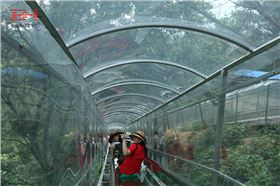 清遠(yuǎn)20180723012.jpg 清遠(yuǎn)20180723012.jpg