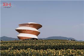 金屬拉伸網(wǎng)