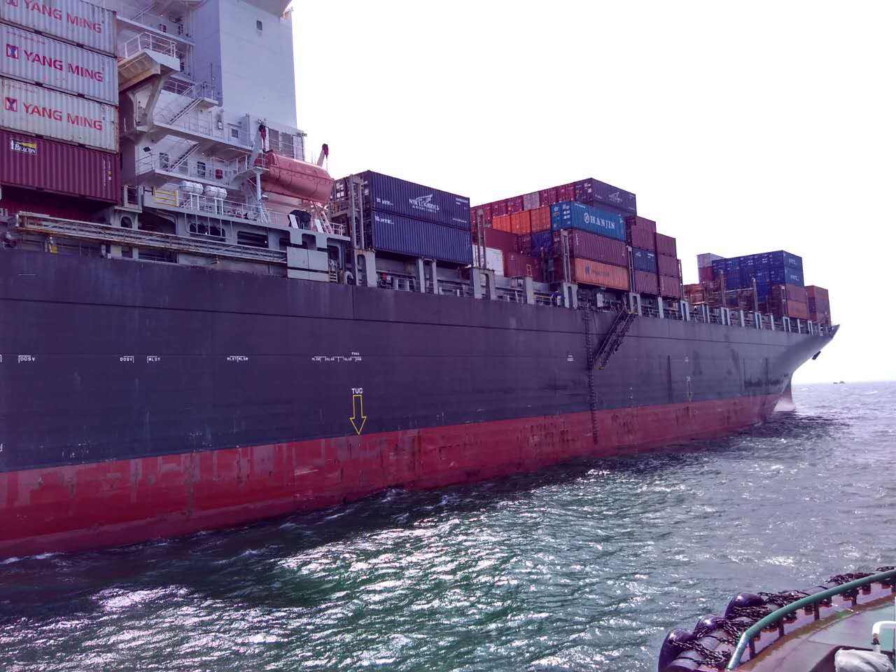 �طN�h(hu��n)�����\���ᣭ��ɫ