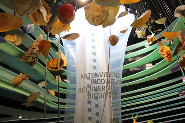 材料屬性的實現與現實-米蘭世界博覽會5