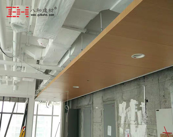 深圳市百麗大廈木紋鋁單板獨家供應4 深圳市百麗大廈木紋鋁單板獨家供應4