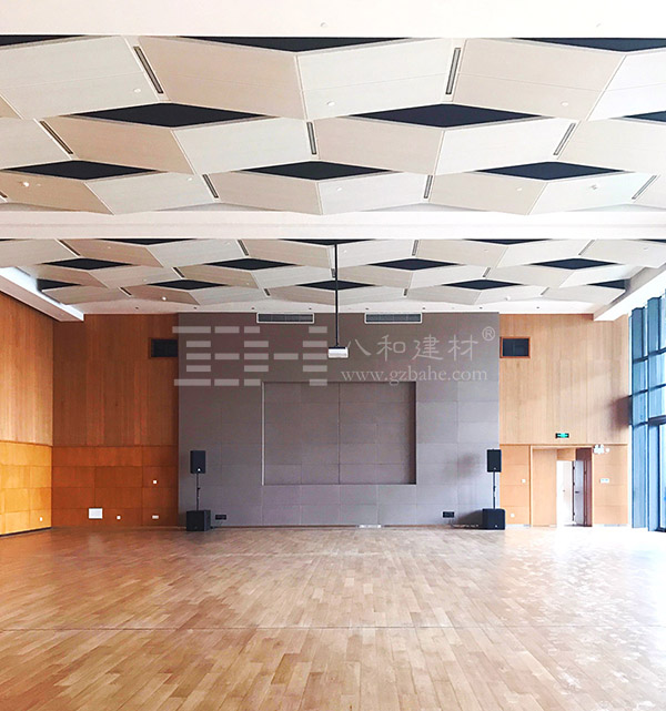 上海外高橋文化藝術中心-穿孔鋁單板 、鋁天花吊頂4