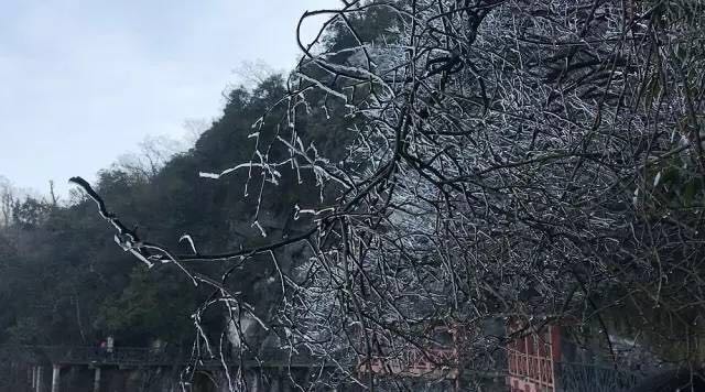 八和建材優秀員工張家界魅力之旅6