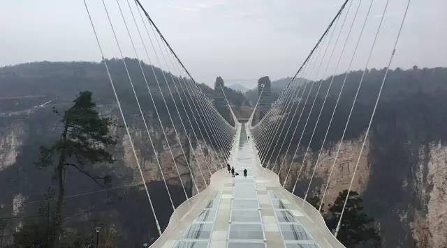 八和建材優秀員工張家界魅力之旅12