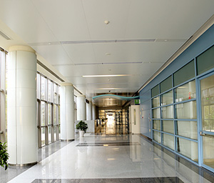 醫(yī)院通道天花吊頂 醫(yī)院通道天花吊頂