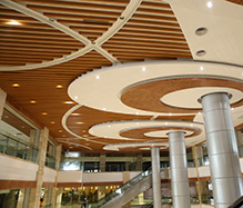 購物中心中庭天花 購物中心中庭天花