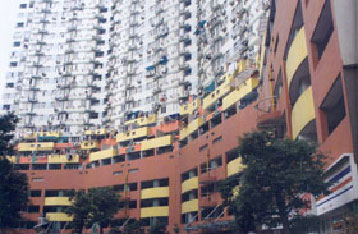 �e�m����ƽͿ�≦��