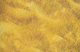 ɰ���|(zh��)��ˇ�g(sh��)��